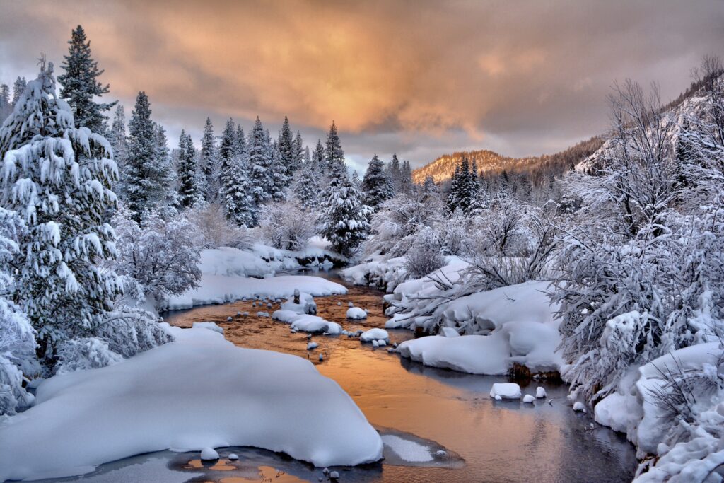 Winter landscape with snow-covered trees and stream reflecting sunset sky warm glow background Wallpaper