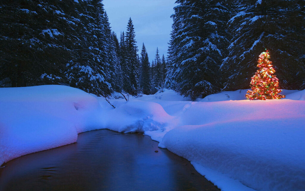 Serene Winter Landscape Wallpaper: Snowy Forest & Christmas Tree