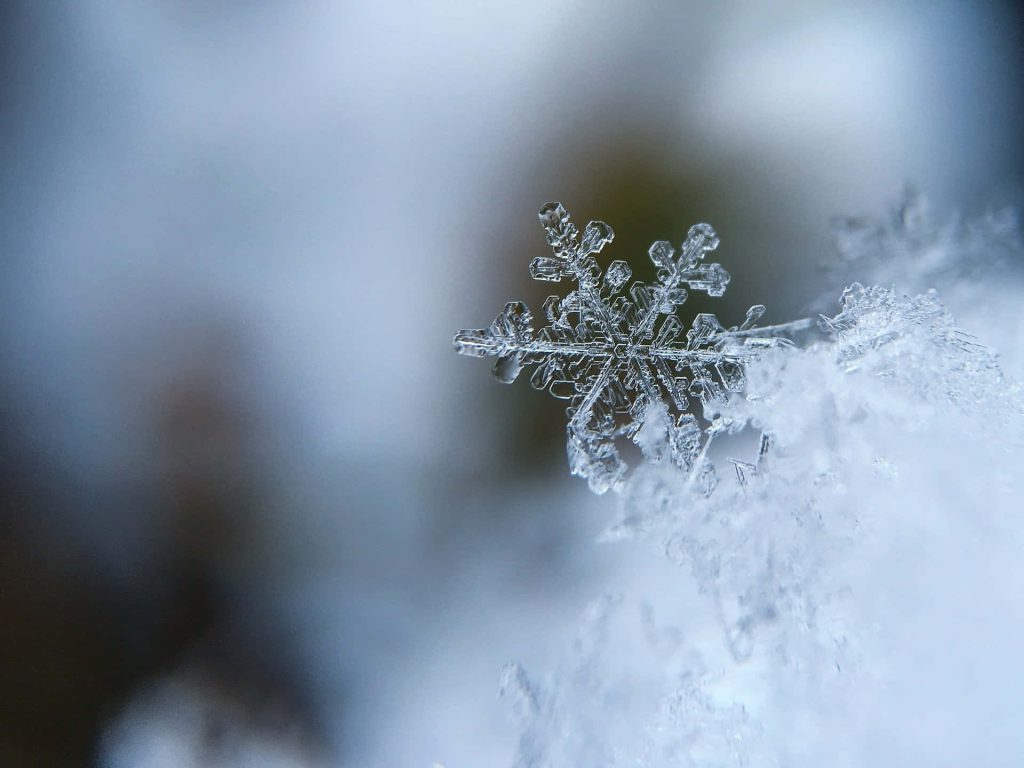 Close-up of a detailed crystalline snowflake on fresh snow in soft blue winter tones wallpaper