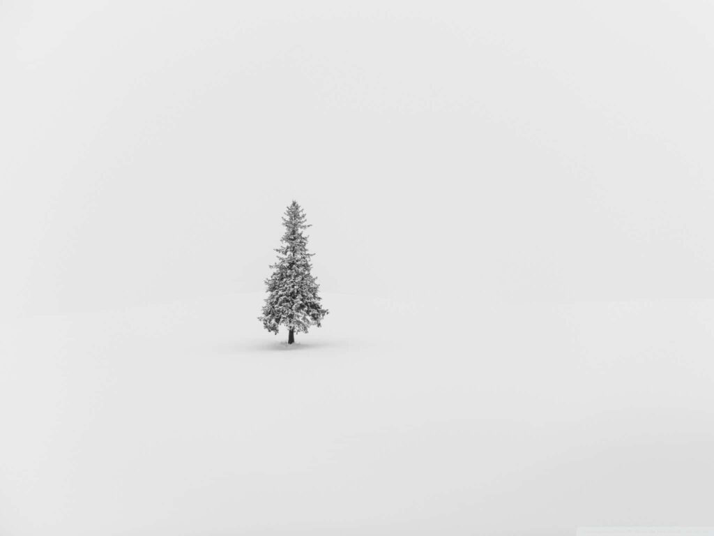Minimalist Winter Wallpaper: Serene Snowy Pine Tree Background