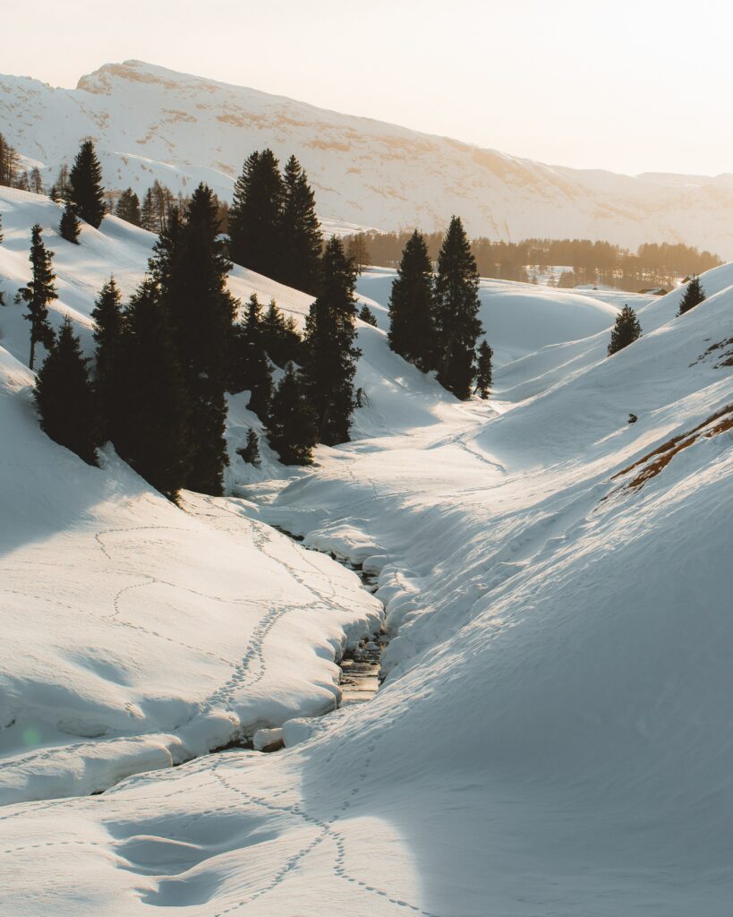 Serene winter wallpaper with snow-covered mountains evergreen trees and a winding stream landscape
