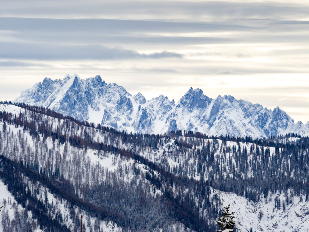 Winter landscape wallpaper with snow-covered mountains dense forest and serene white slopes