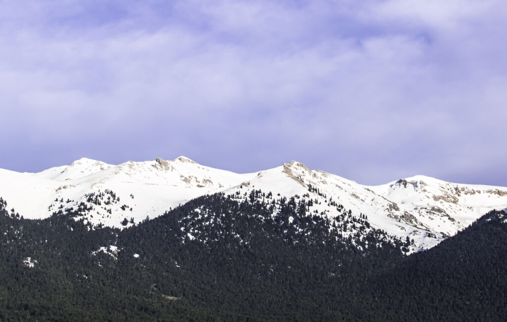Snow-capped mountains with dark pine forests under a calm sky winter nature wallpaper background