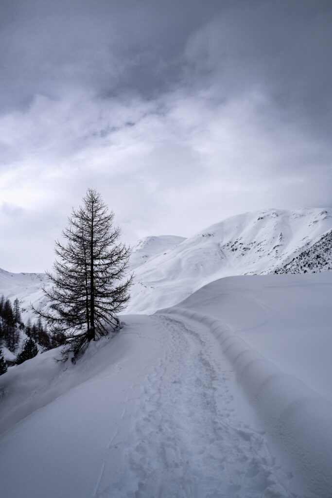Snowy mountain path with solitary tree under cloudy sky serene winter landscape wallpaper