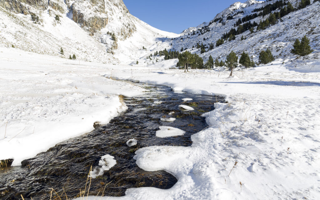 Crystal-clear stream in snow-covered mountain valley with pine trees and rugged cliffs winter landscape Wallpaper