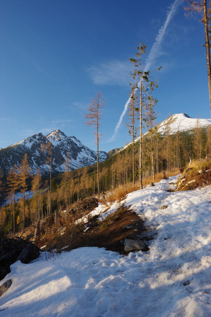 Serene winter landscape with snow-covered mountains leafless trees and clear blue sky wallpaper