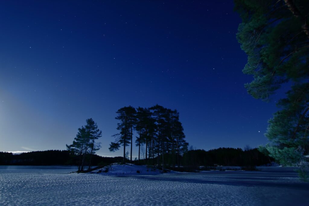 Serene winter night with snow-covered ground and silhouetted trees under starry sky wallpaper