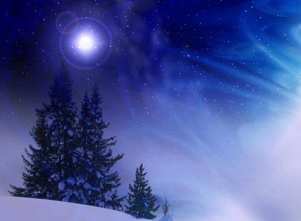 Enchanting Winter Night Wallpaper: Silhouetted Trees & Starry Sky