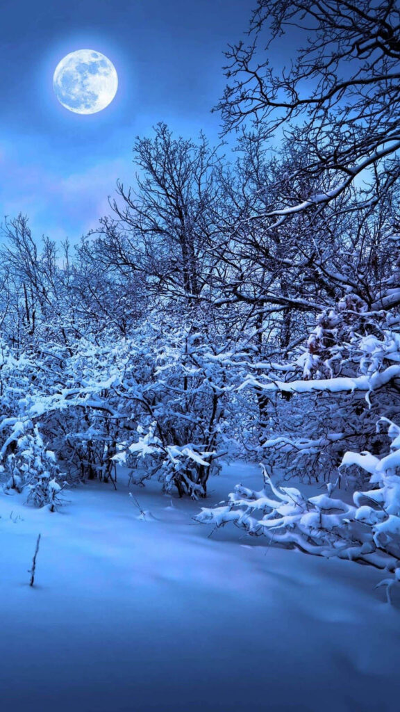 Serene Winter Night Wallpaper: Full Moon Over Snow-Covered Trees