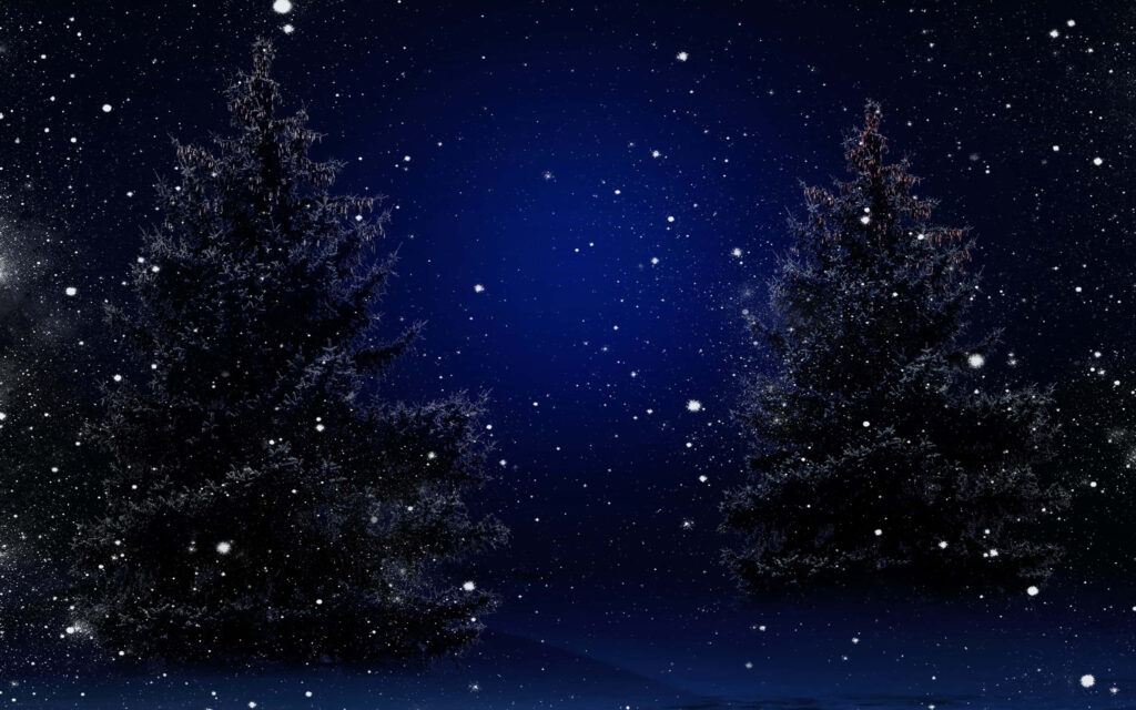 Peaceful Winter Night: Snowy Trees & Starry Blue Sky Background Wallpaper