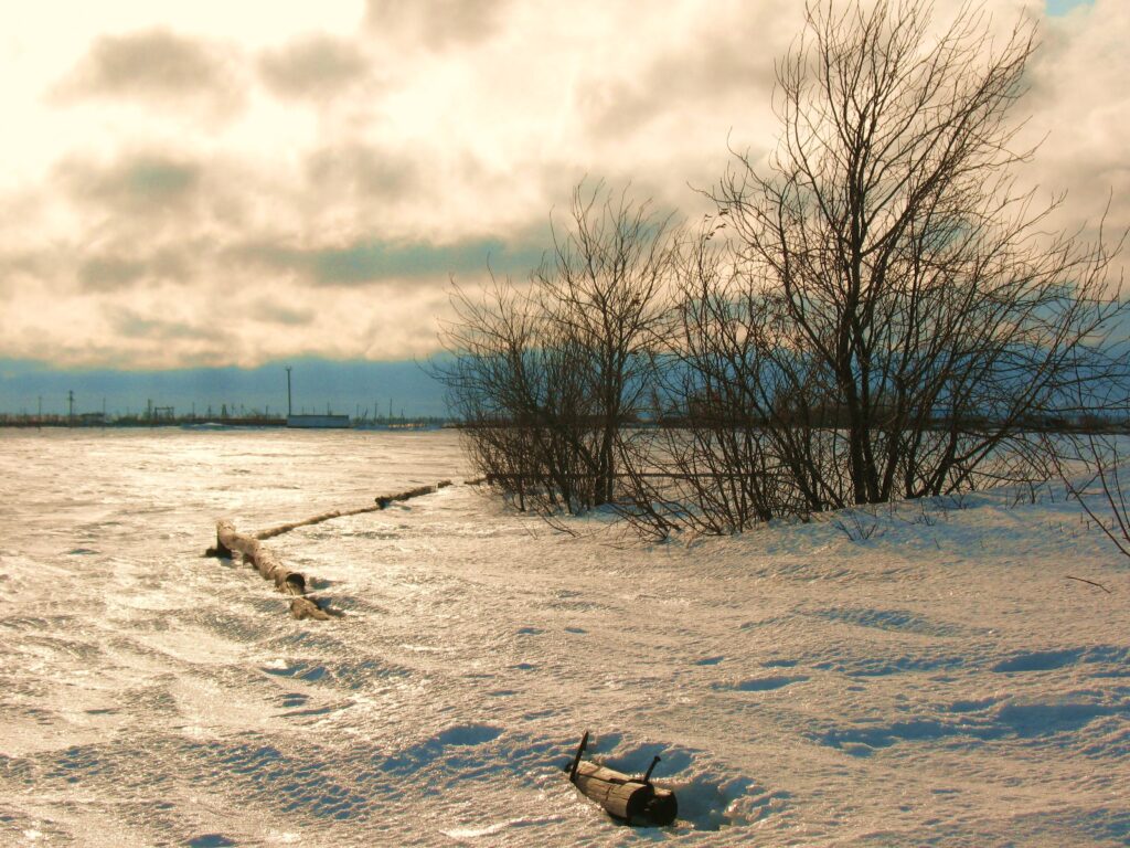 Serene snowy northern steppe with leafless trees golden sunset light and icy winter landscape Wallpaper