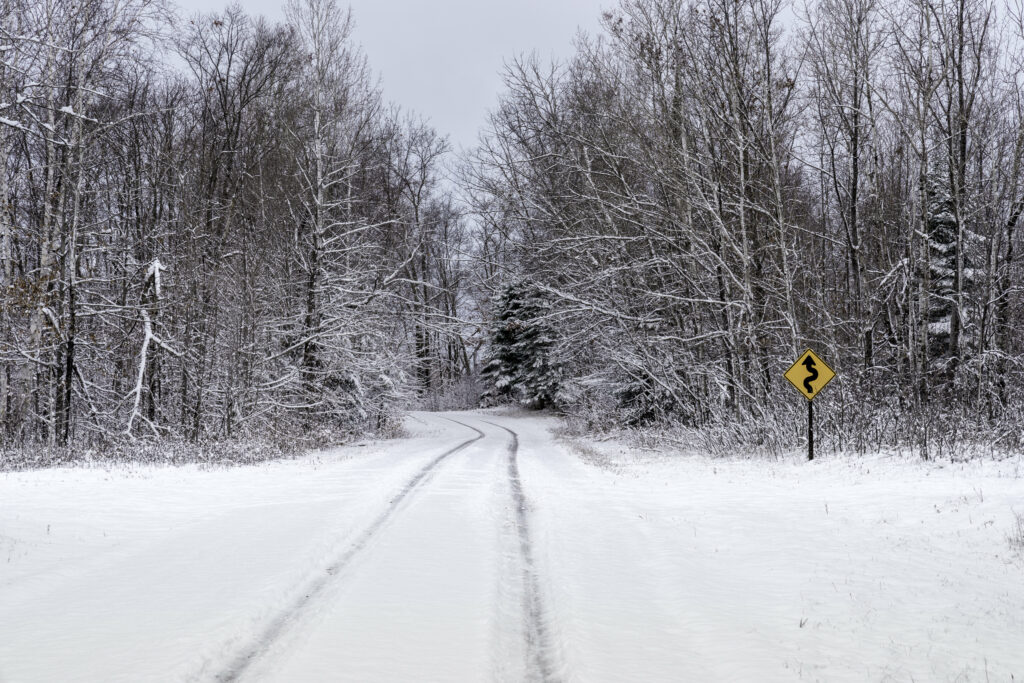 Serene winter path through snow-covered trees with soft light highlighting peaceful frosty landscape Wallpaper