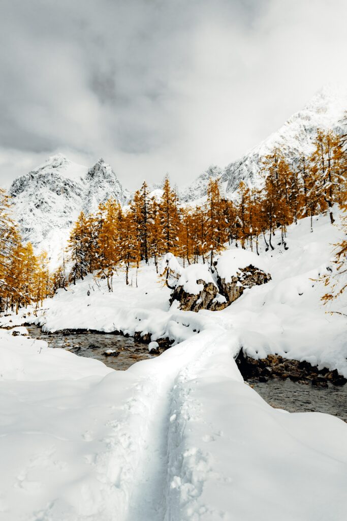 Snowy winding path by flowing stream with golden trees and rugged mountains under clouds Wallpaper