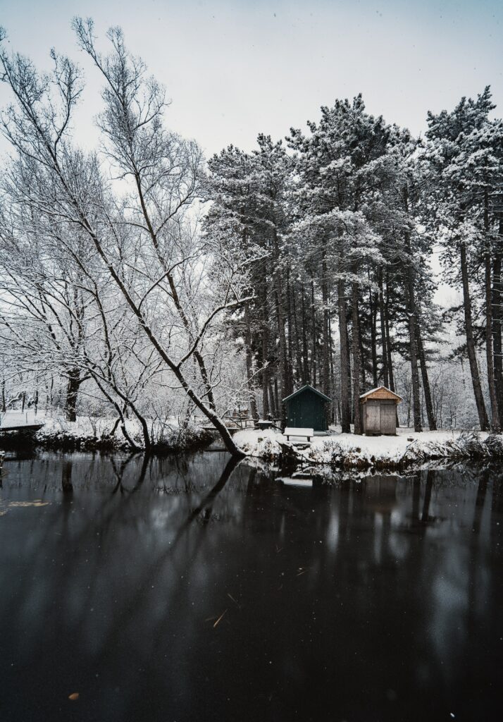 Winter riverside wallpaper with snow-covered trees rustic cabins and calm reflective water