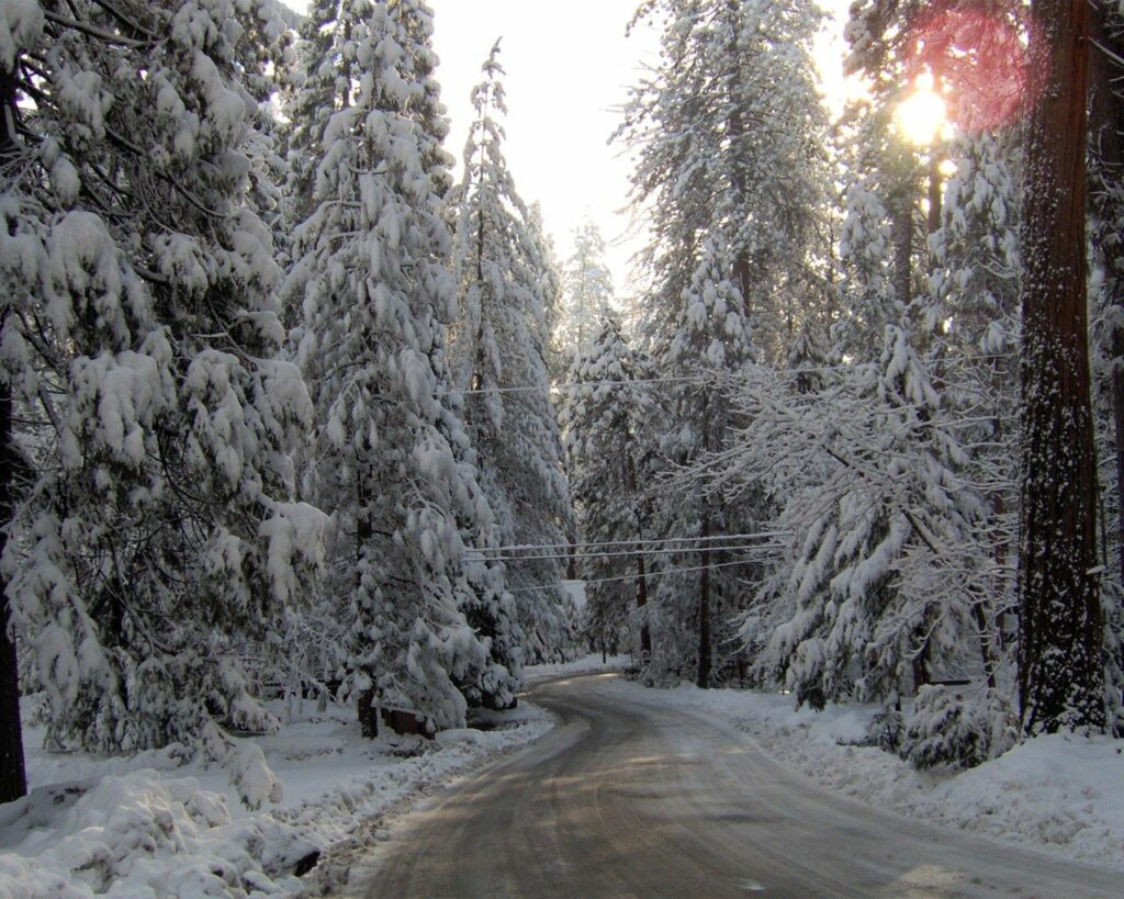 Serene winter road winding through snow-covered fir trees in a peaceful snowy forest scene Wallpaper