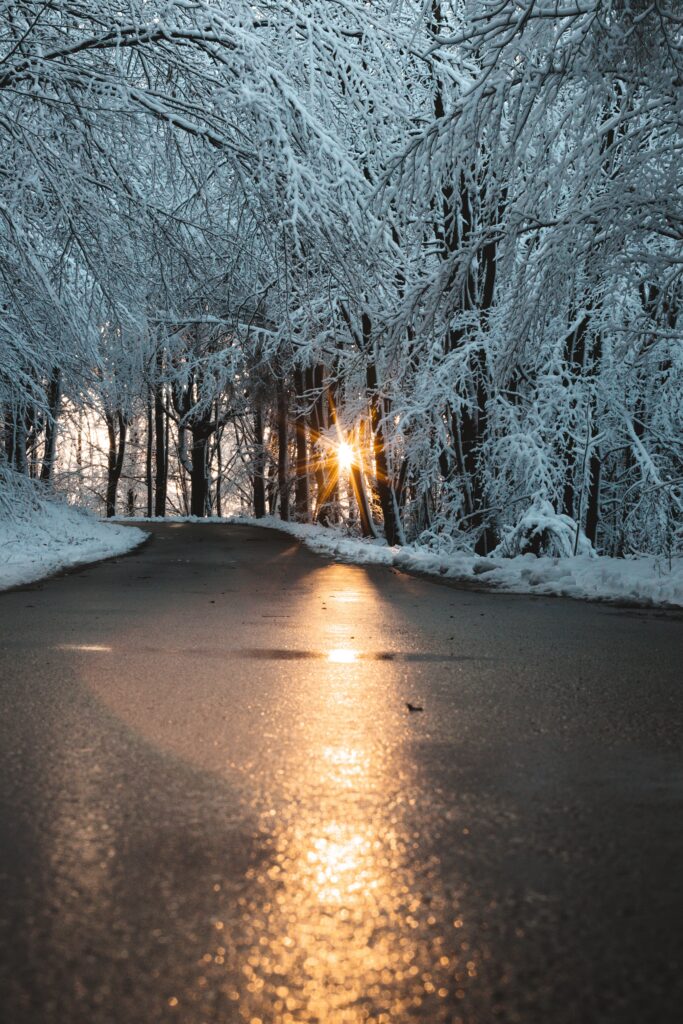 Winter road through snow-covered trees with sun reflecting on icy surface serene nature Wallpaper