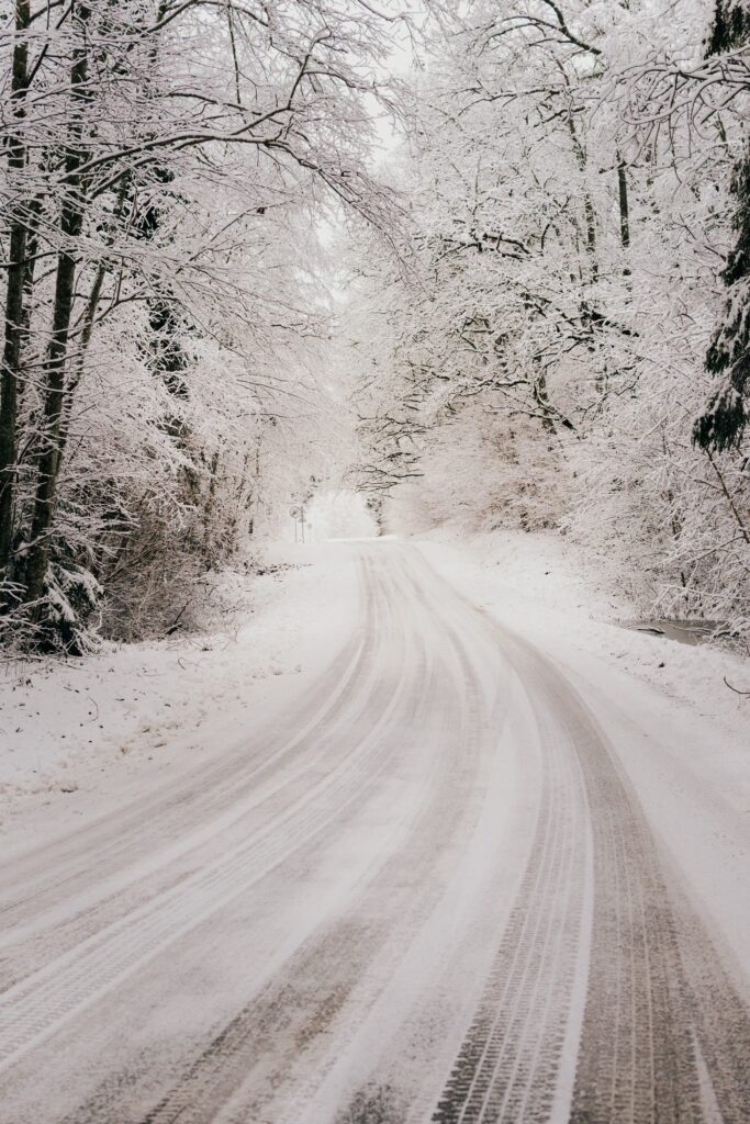 Winter wallpaper winding road through snow-covered forest with frosty trees and bushes