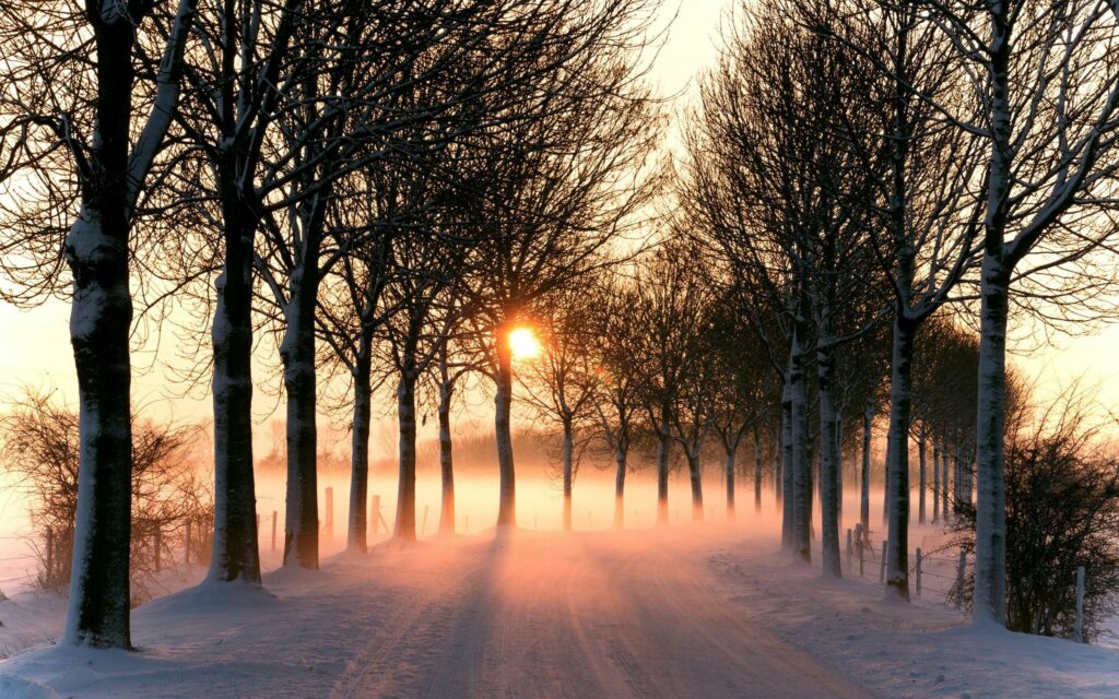 Winter road with snow and leafless trees glowing in warm sunset mist serene wallpaper background