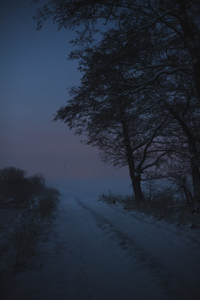 Serene winter road with bare trees under twilight sky in blue purple hues peaceful evening Wallpaper