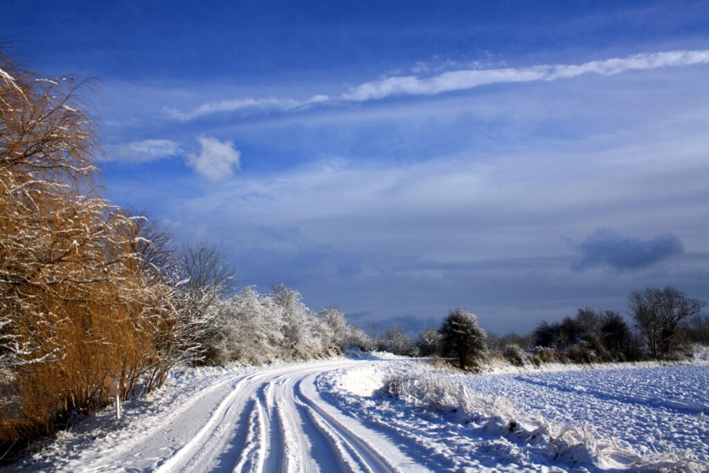 Snowy Dutch road curves through frosty trees under clear blue sky winter landscape wallpaper