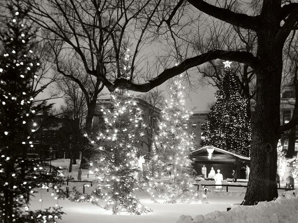 Peaceful Winter Scene with Glowing Christmas Trees & Nativity Display Wallpaper