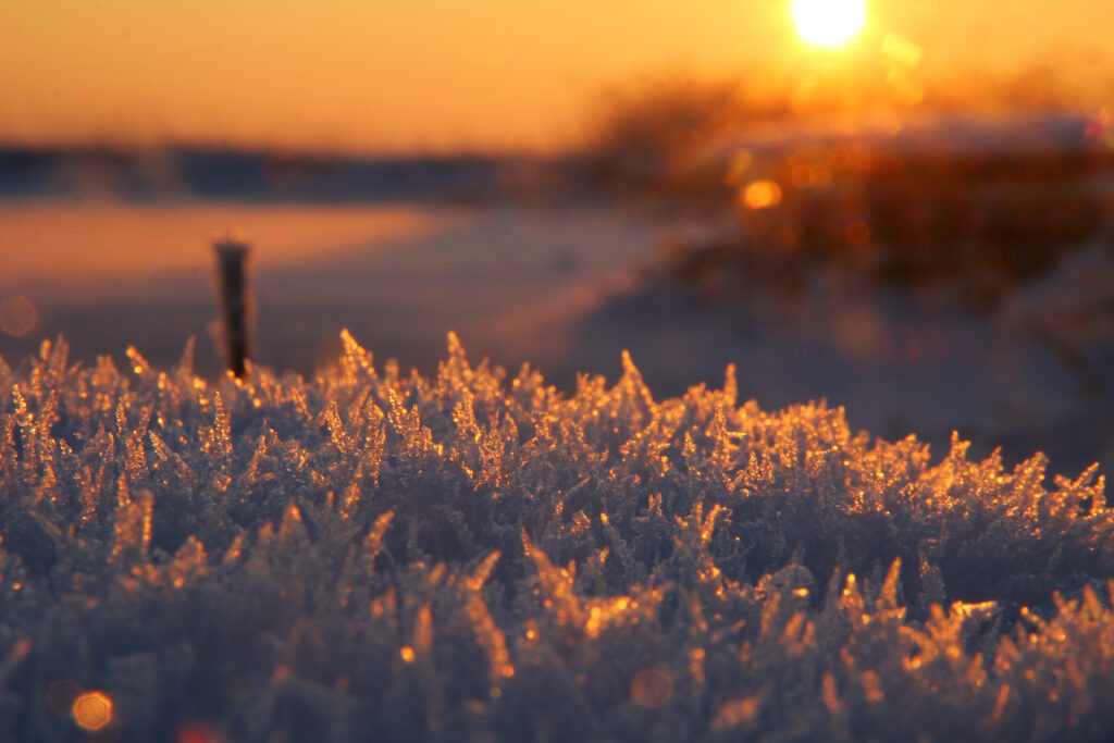 Serene Winter Scene: Frosty Crystals & Golden Sunset Wallpaper