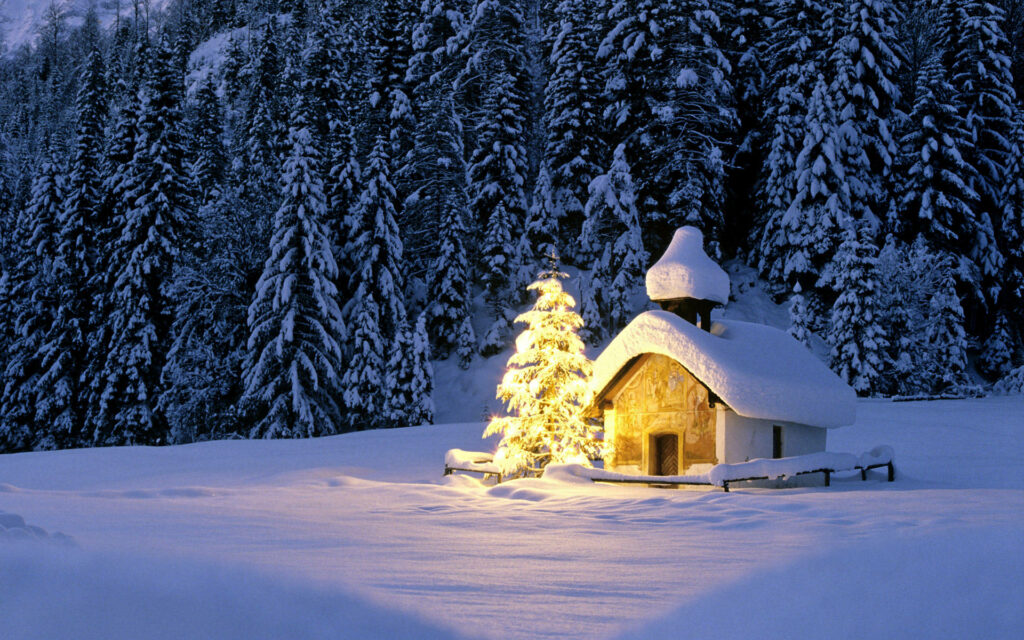 Tranquil Winter Scene: Snowy Cottage & Christmas Tree Among Evergreens Wallpaper