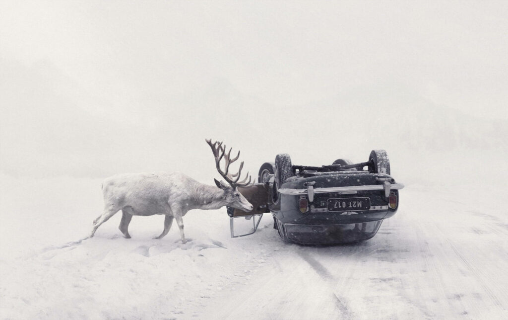 Safety First: Striking Winter Scene with Car and Curious Reindeer Wallpaper