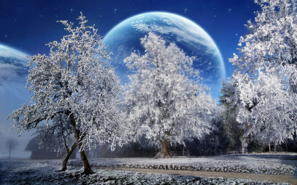 Magical Winter Night: Snow-Covered Trees & Starry Sky Background Wallpaper