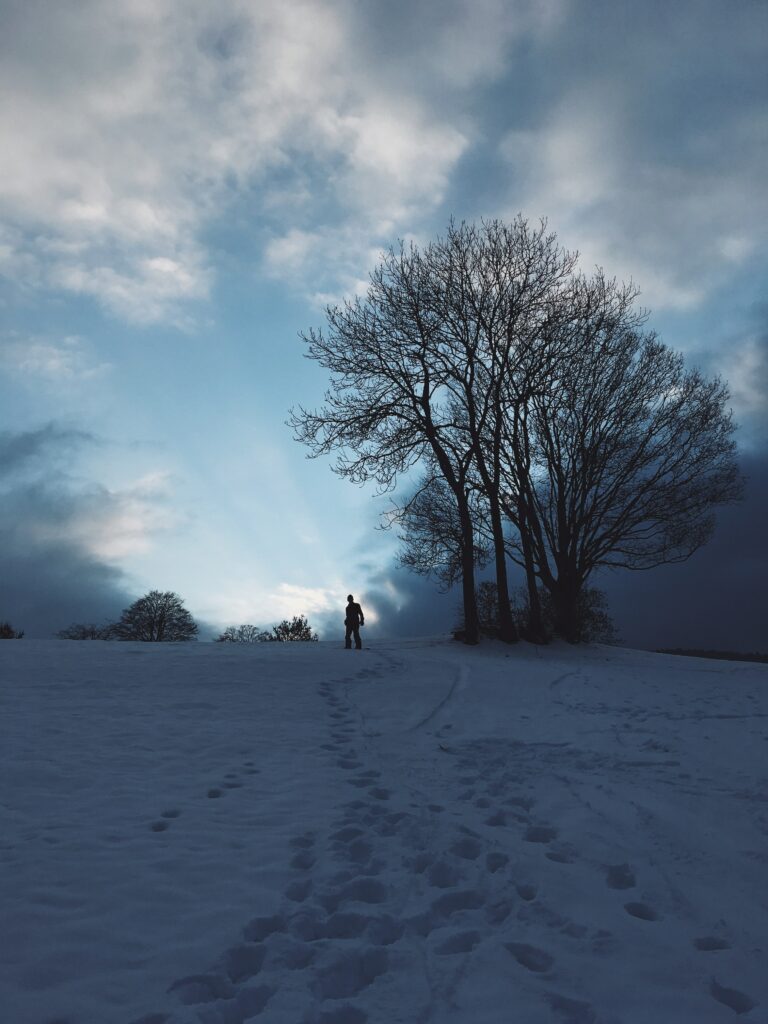 Silhouette of lone figure by leafless trees under dramatic winter sky with soft snowy landscape light Wallpaper