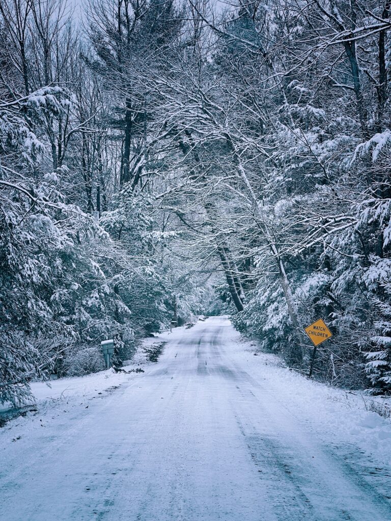 Snow-covered road winding through bare trees in a serene winter forest with blue white tones Wallpaper