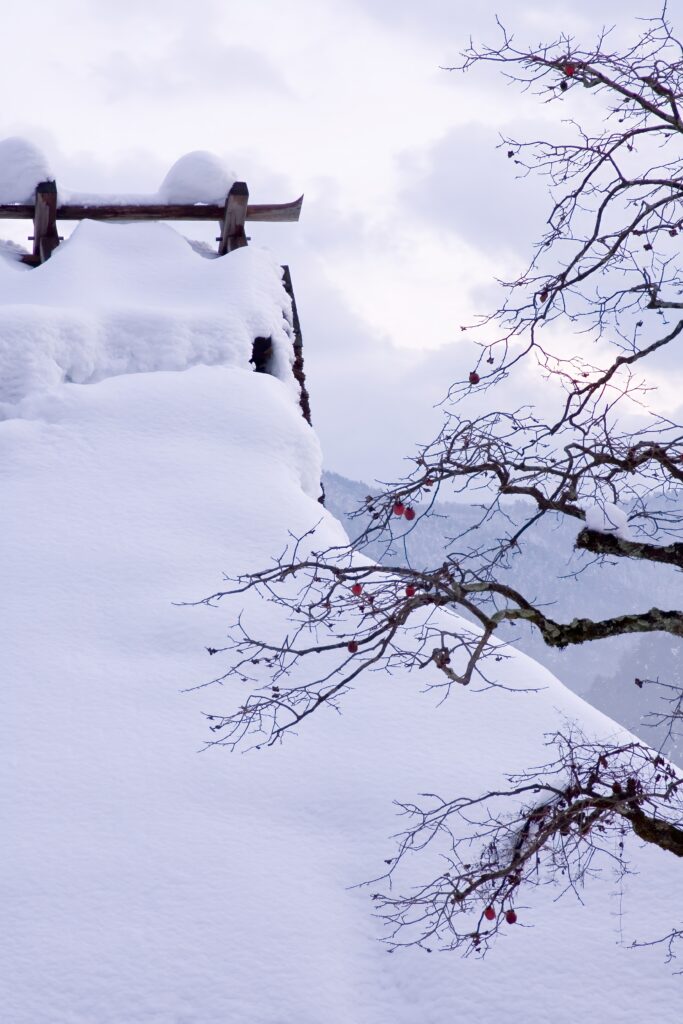Serene winter wallpaper with snow-covered rooftop bare branches and red berries under cloudy sky