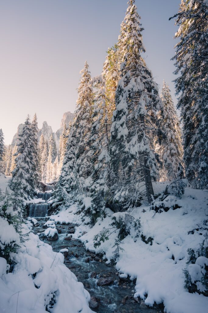Serene winter stream flowing through snow-covered trees with sunlight on frosted branches Wallpaper
