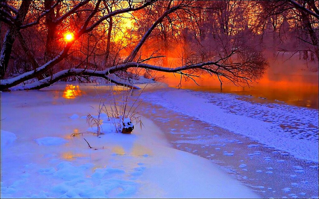 Serene winter sunset wallpaper with snow-covered branches and frozen pond reflecting warm hues