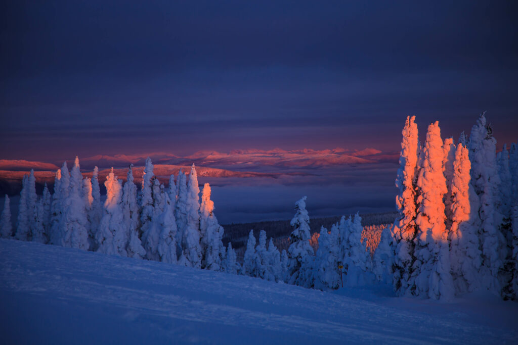 Serene winter twilight landscape with snow-covered trees and glowing violet orange sky wallpaper background