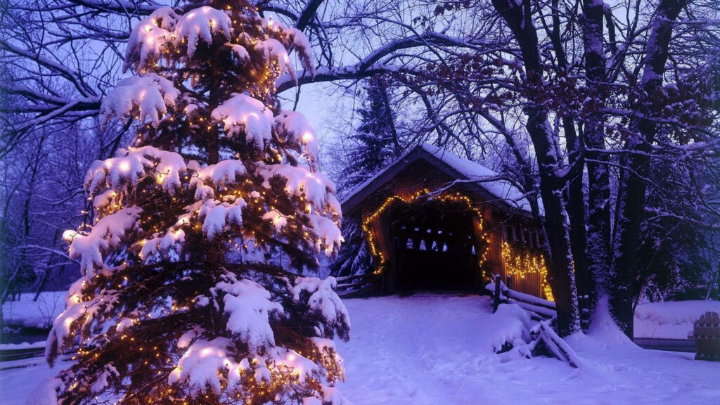 Serene Winter Wallpaper: Festive Tree & Snowy Cozy Landscape