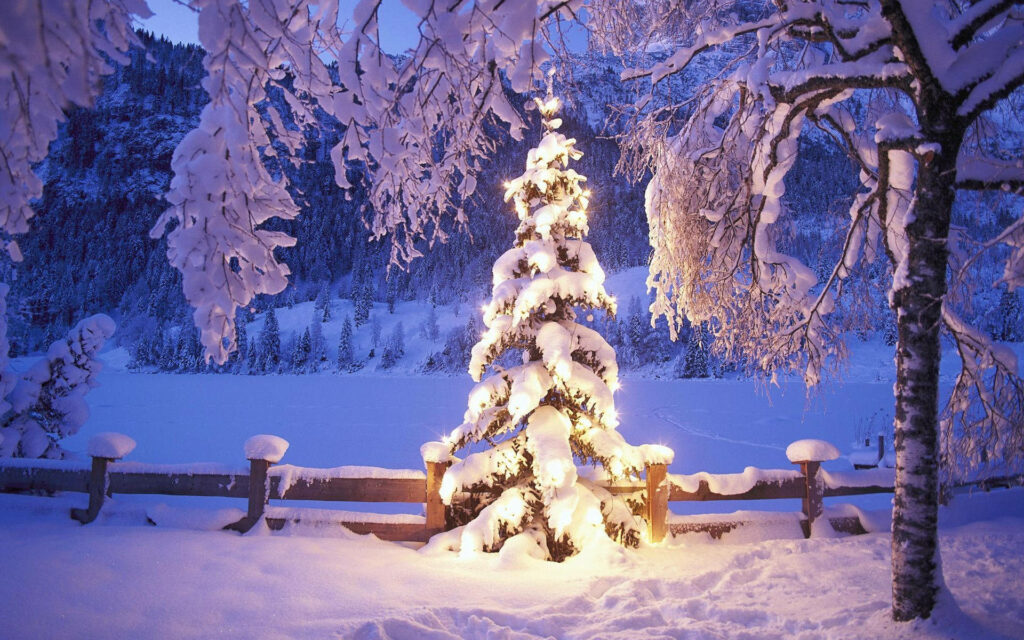Serene Winter Scene: Festive Pine Tree in Snowy Forest Background Wallpaper