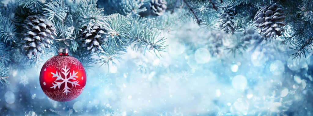 Serene Winter Wallpaper: Frosted Pines & Festive Red Ornament