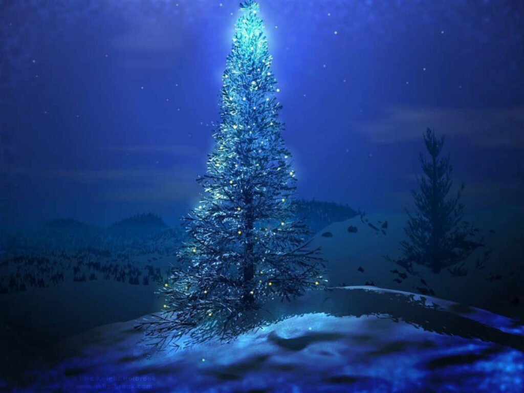 Serene Winter Scene: Lone Christmas Tree with Soft Blue Lights Wallpaper