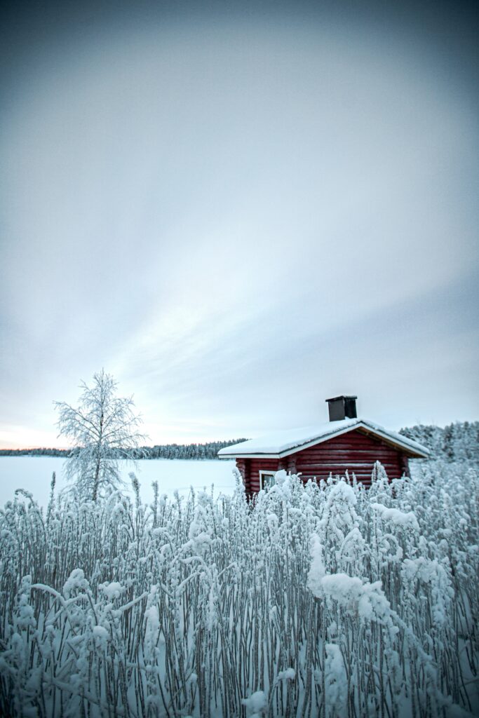 Serene winter wallpaper with red house snow-covered grasses trees fresh white snow gray-blue sky