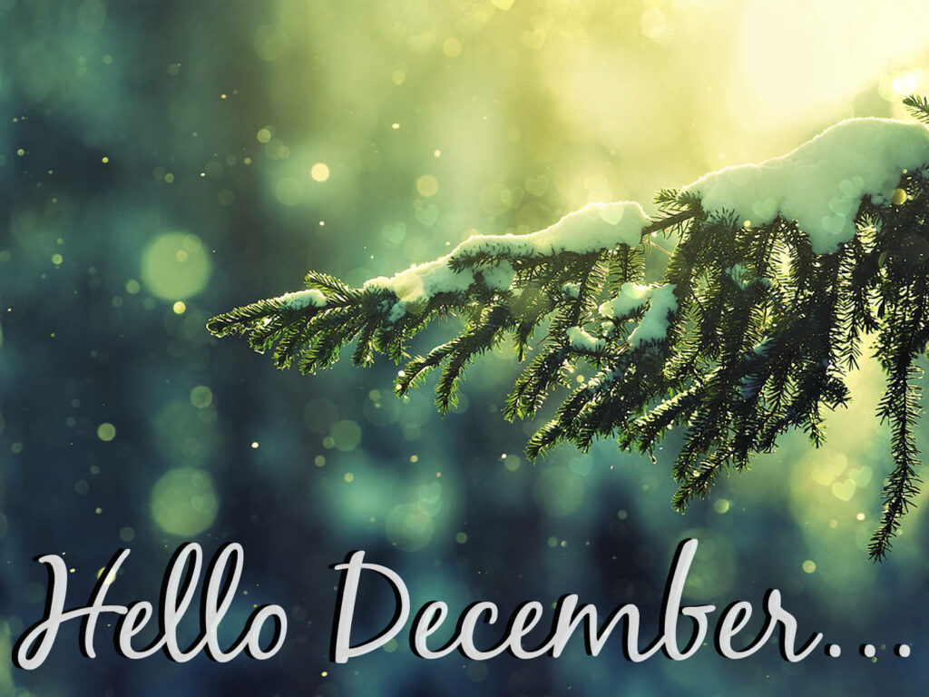 Dreamy Winter Wallpaper: Snowy Branch & 'Hello December' Text