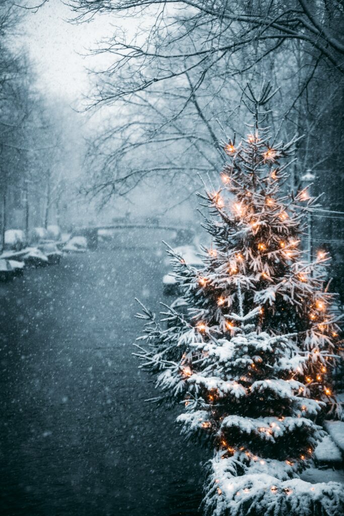 Serene Winter Wallpaper: Snowy Tree with Glowing Garlands Background