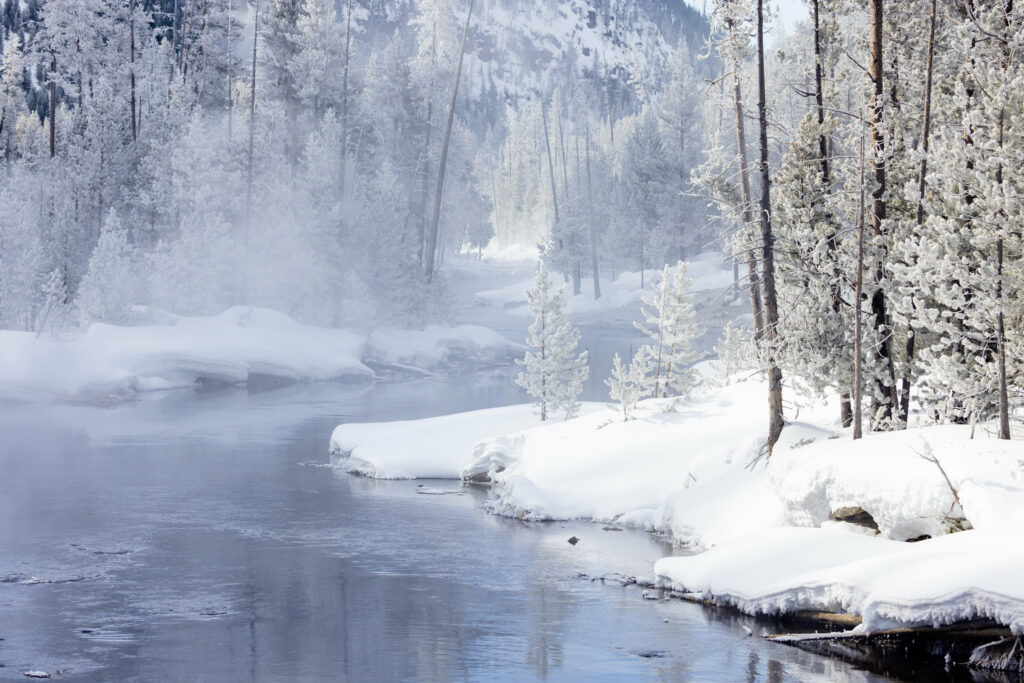 Snowy forest river with mist rising over calm water serene winter landscape wallpaper background