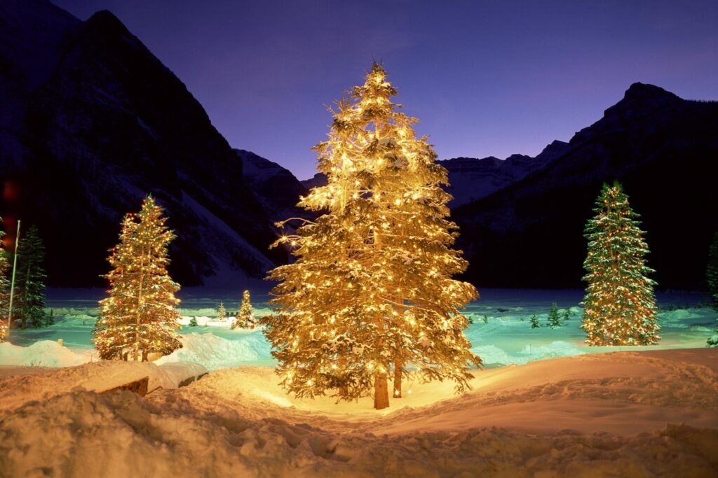 Serene Winter Wallpaper: Snowy Trees & Festive Mountain Ambiance