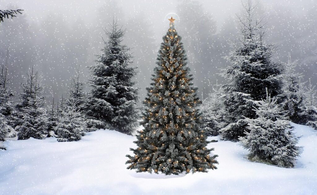 Serene Winter Wallpaper: Snowy Forest & Festive Christmas Tree