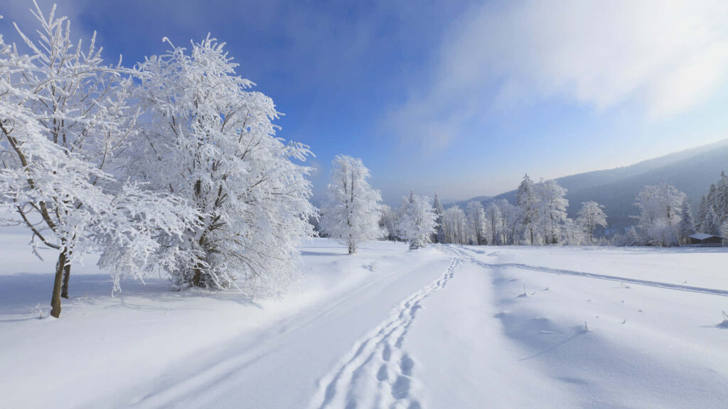 Breathtaking Winter Landscape Wallpaper: Snowy Serenity & Blue Sky