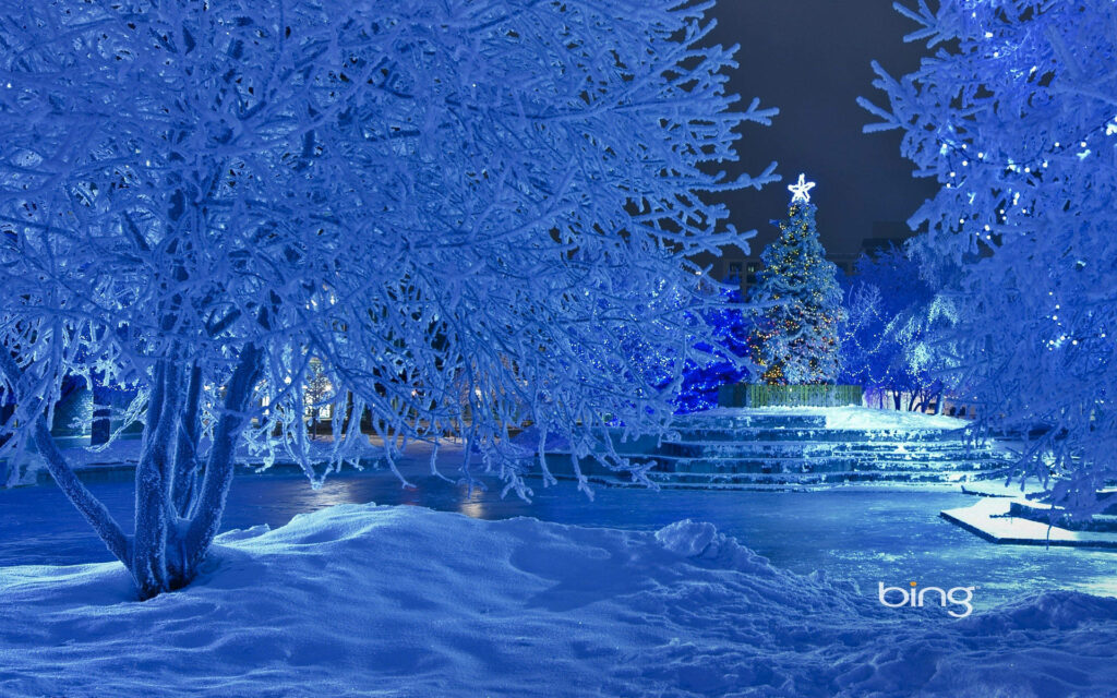 Serene Winter Wallpaper: Snowy Trees & Festive Christmas Spirit
