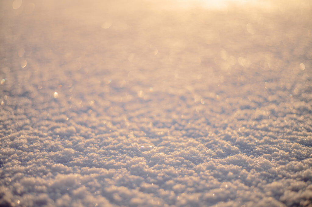 Serene Winter Wallpaper: Soft Sunlight on Freshly Fallen Snow