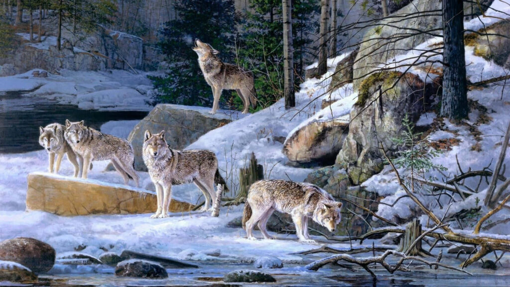 Serene Winter Wallpaper: Wolves Bonding in Snowy Forest Landscape