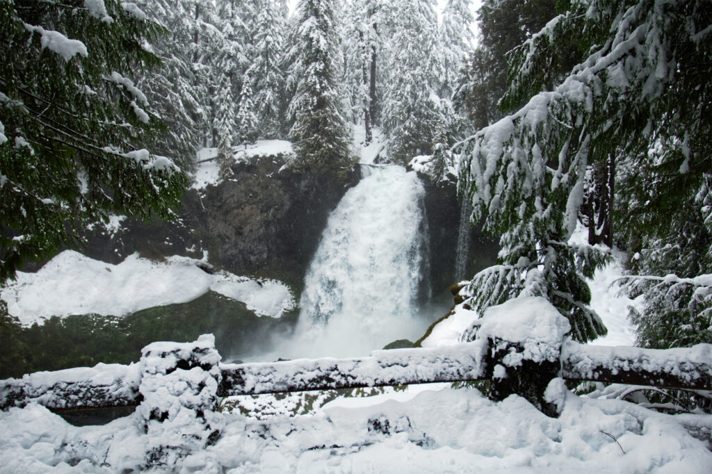Winter waterfall flowing through snow-covered trees and rocks in a serene forest landscape Wallpaper